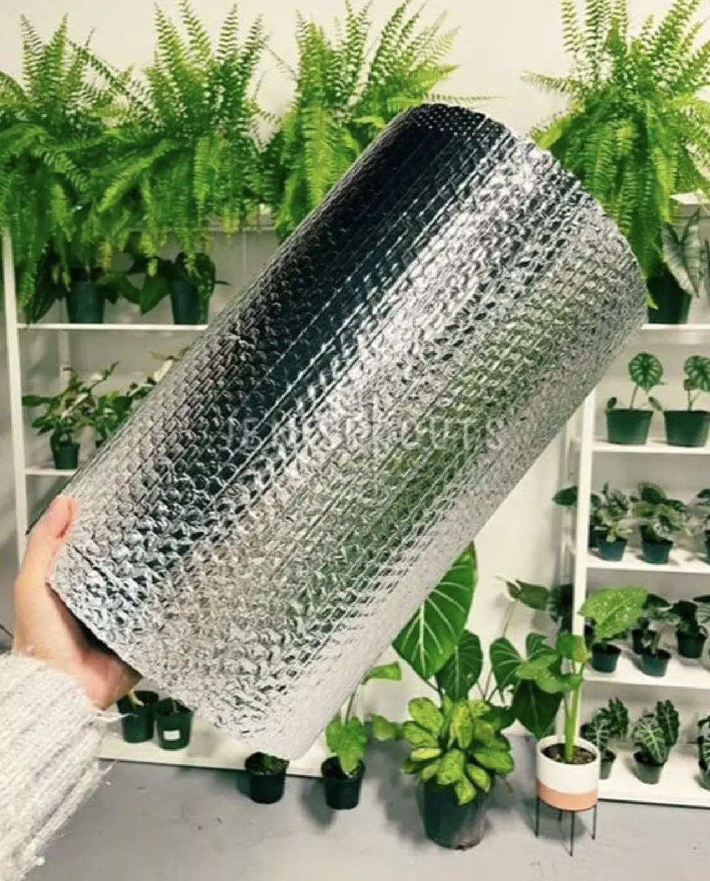 plant/INSULATION ❄️-0