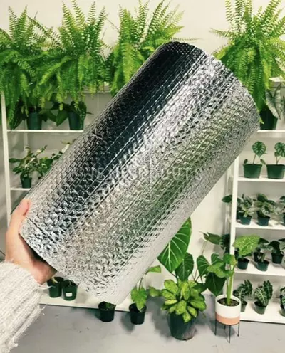 plant/INSULATION ❄️-0-thumbnail