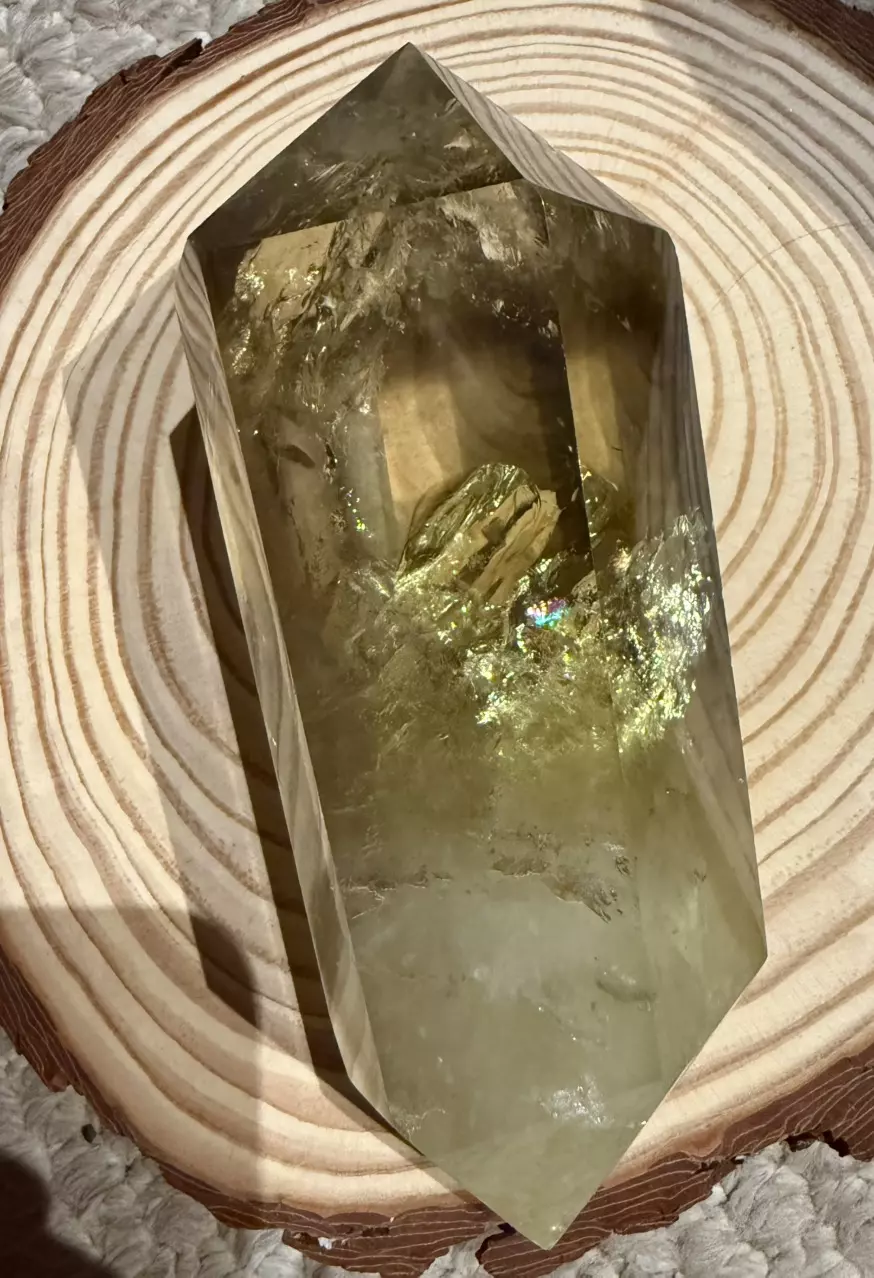 plant/Citrine double terminated with stand-0