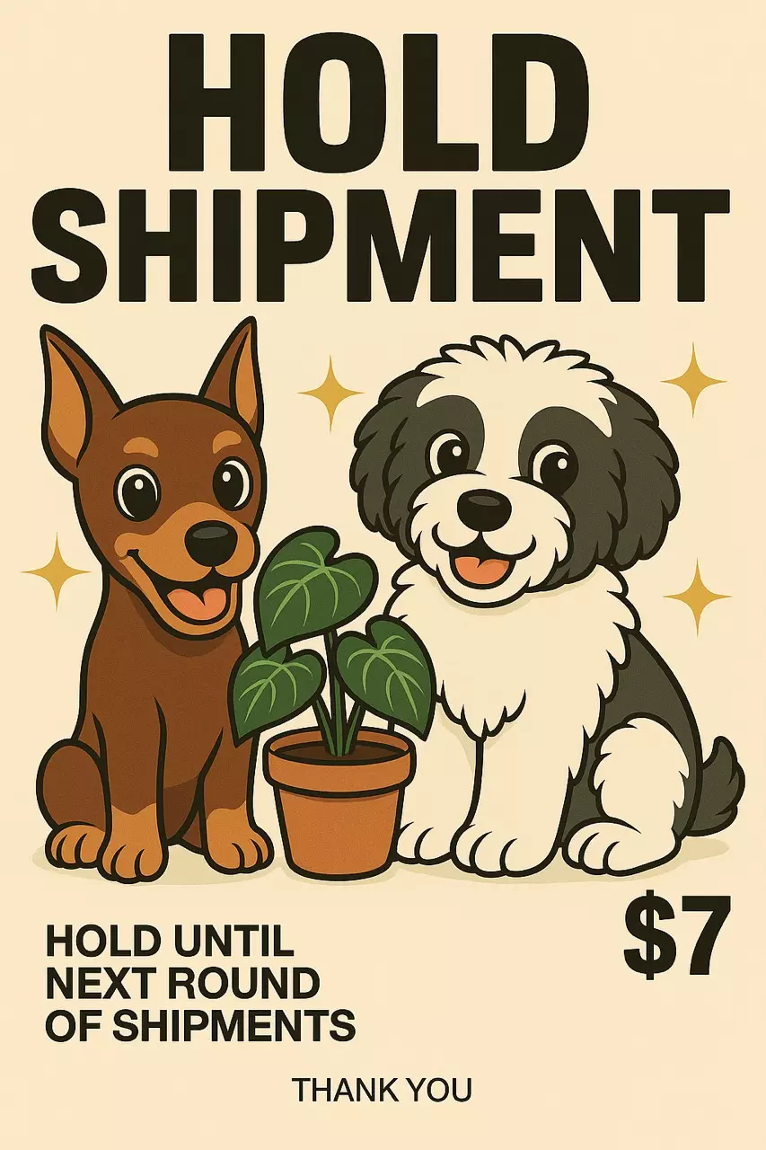 free_shipping/Hold Shipment-0