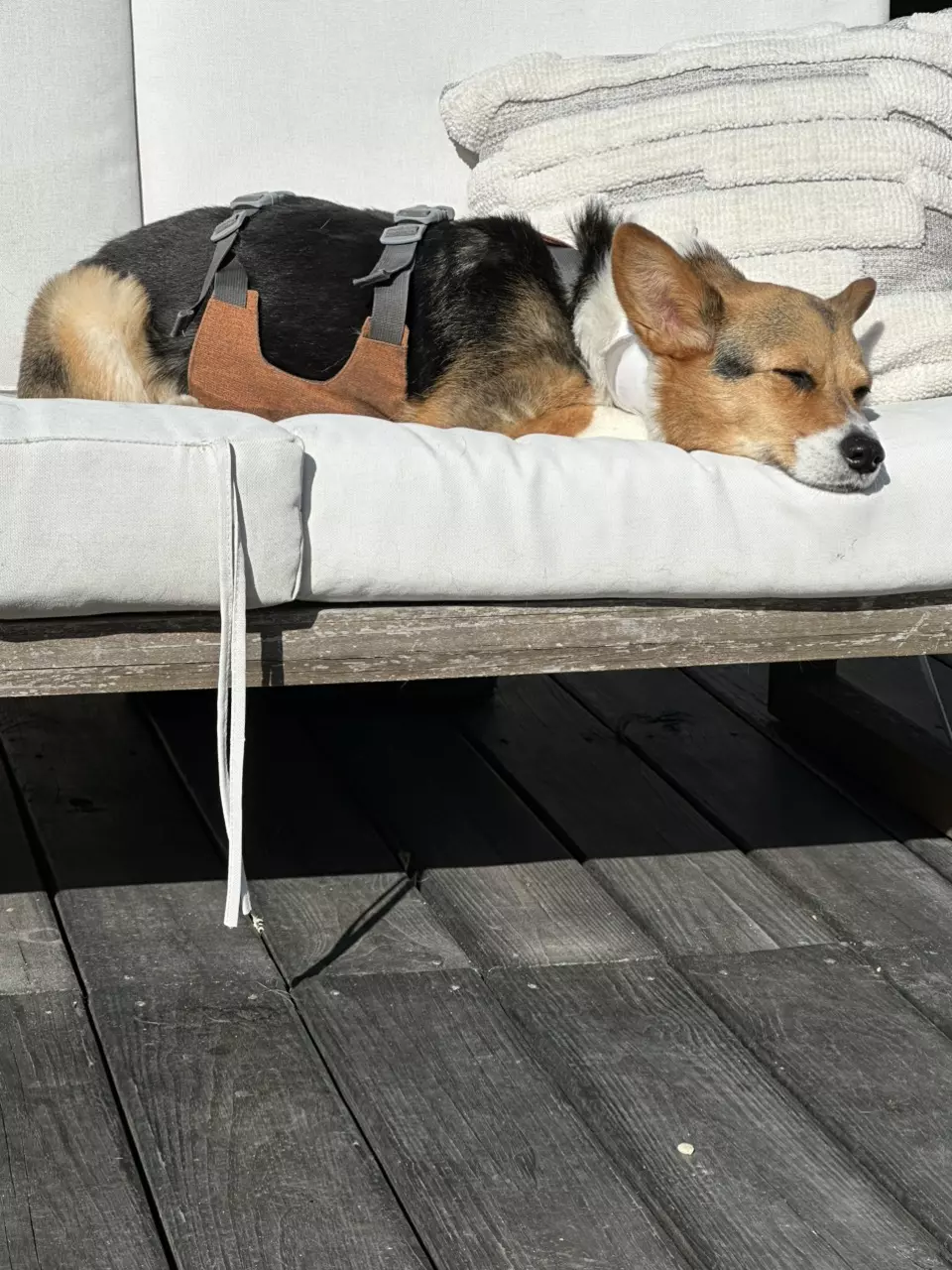 plant/Hold my box!-0