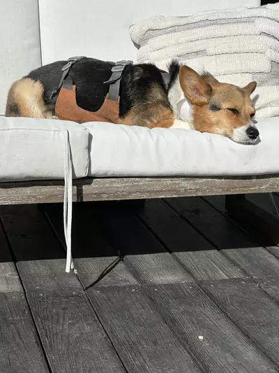 plant/Hold my box!-0-thumbnail