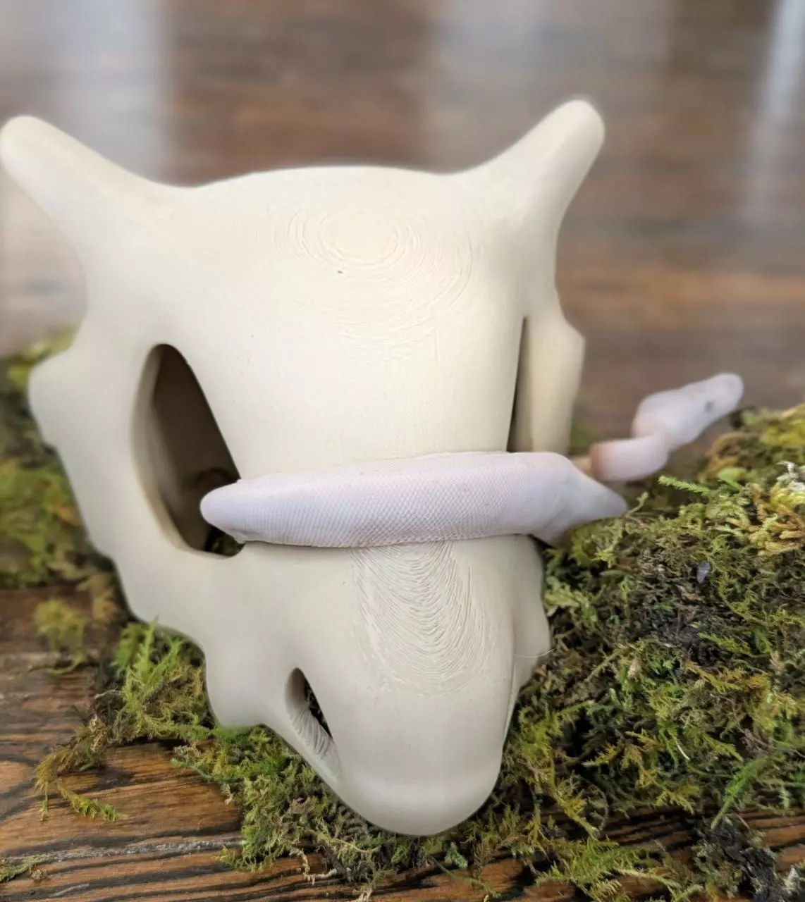 plant/Cute video game themed skull hide for snakes, geckos, and reptile enclosures-2