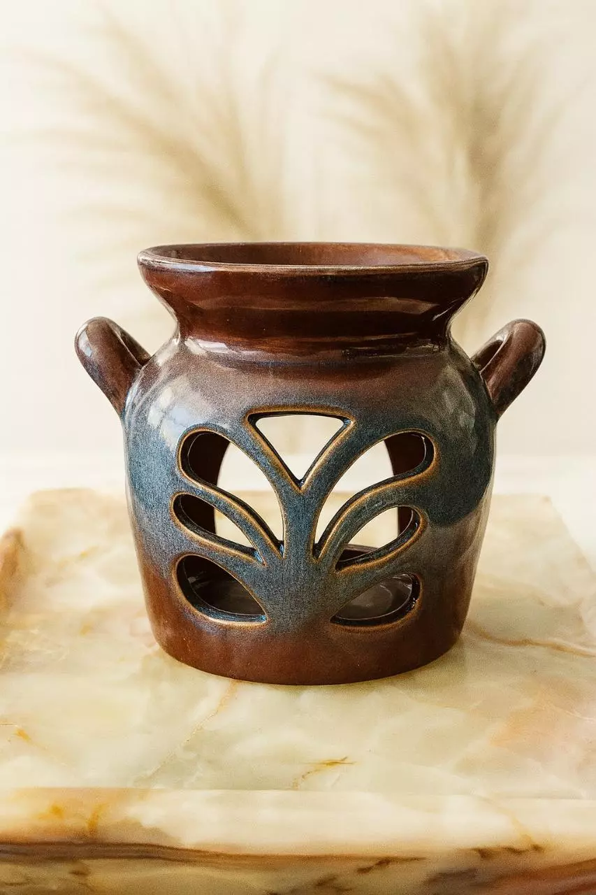 plant/Vanilla Dreams Home Fragrance Oil Set-1