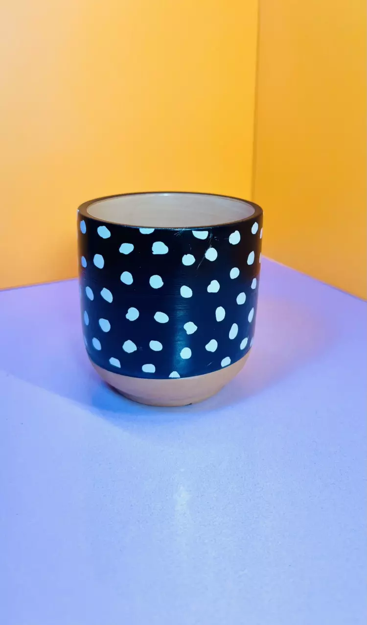 plant/Mini Terracotta Pot 3 in. | Black/White/Terra-1