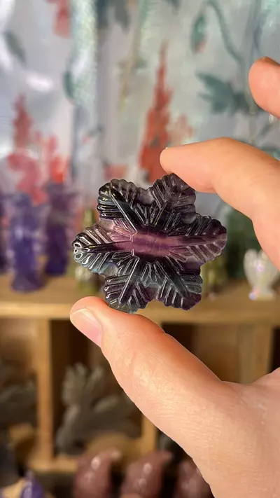 plant/$13 | Fluorite Snowflake 13H-0-thumbnail