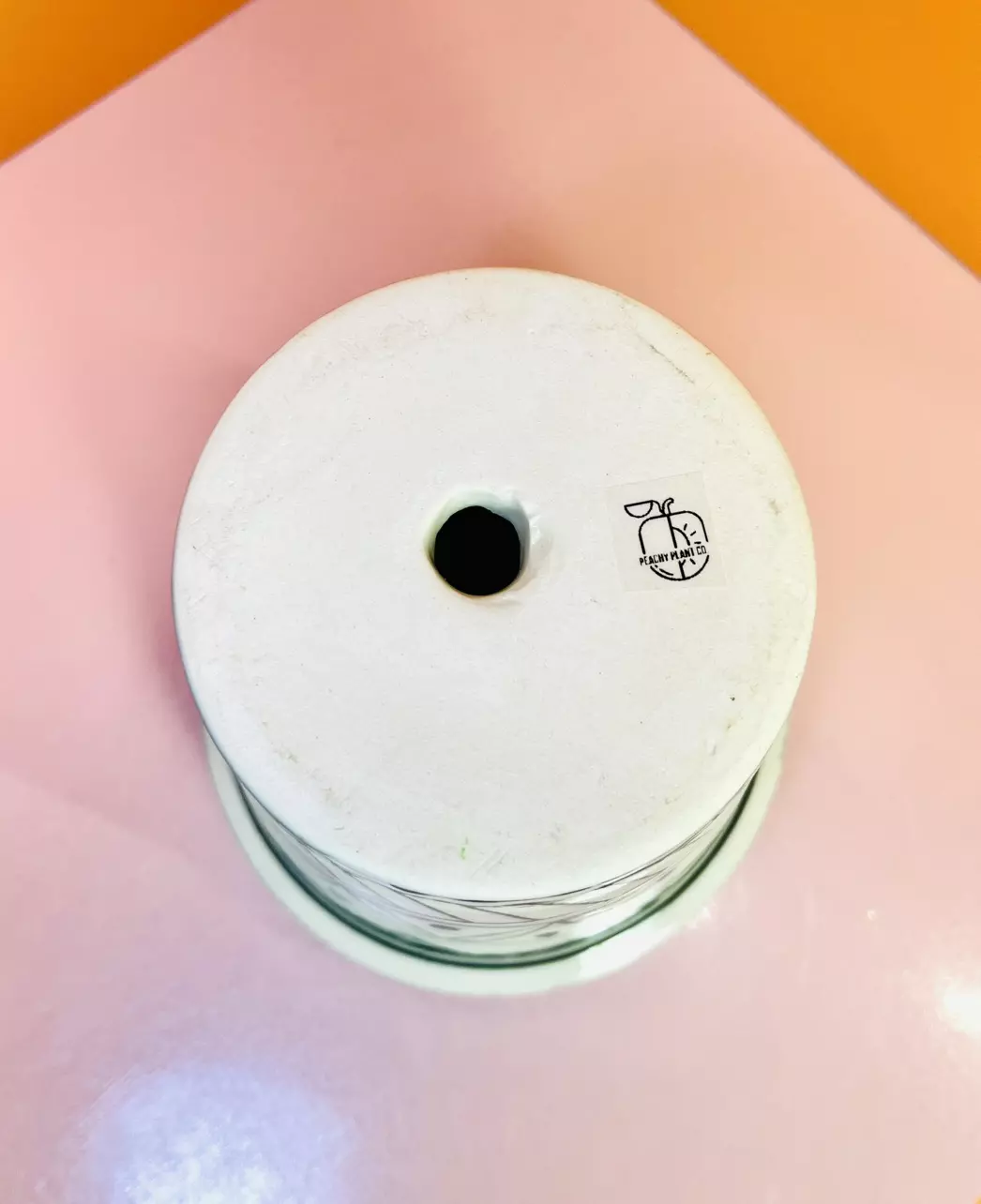 plant/Ceramic Pot 4.5 in. | White/Black-5