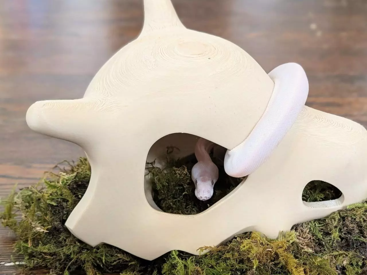 plant/Cute video game themed skull hide for snakes, geckos, and reptile enclosures-1