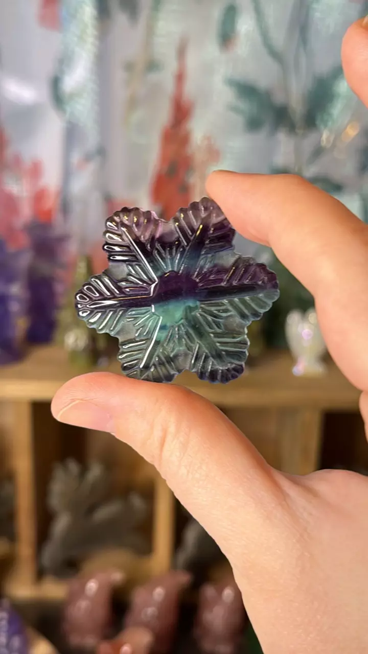 plant/$13 | Fluorite Snowflake 13i-0