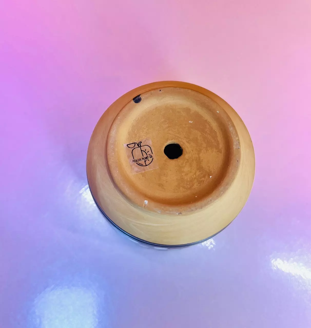 plant/Mini Terracotta Pot 3 in. | Black/White/Terra-4