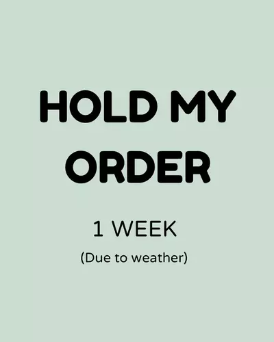 plant/Please hold my order for 1 week (weather)-0-thumbnail
