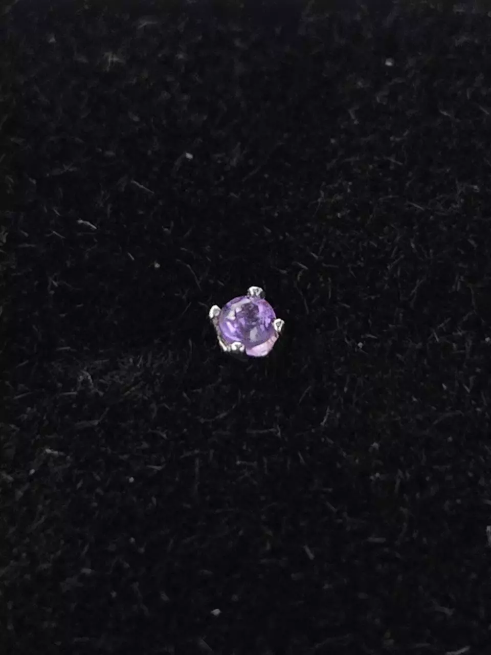 plant/Amethyst nose stud-0