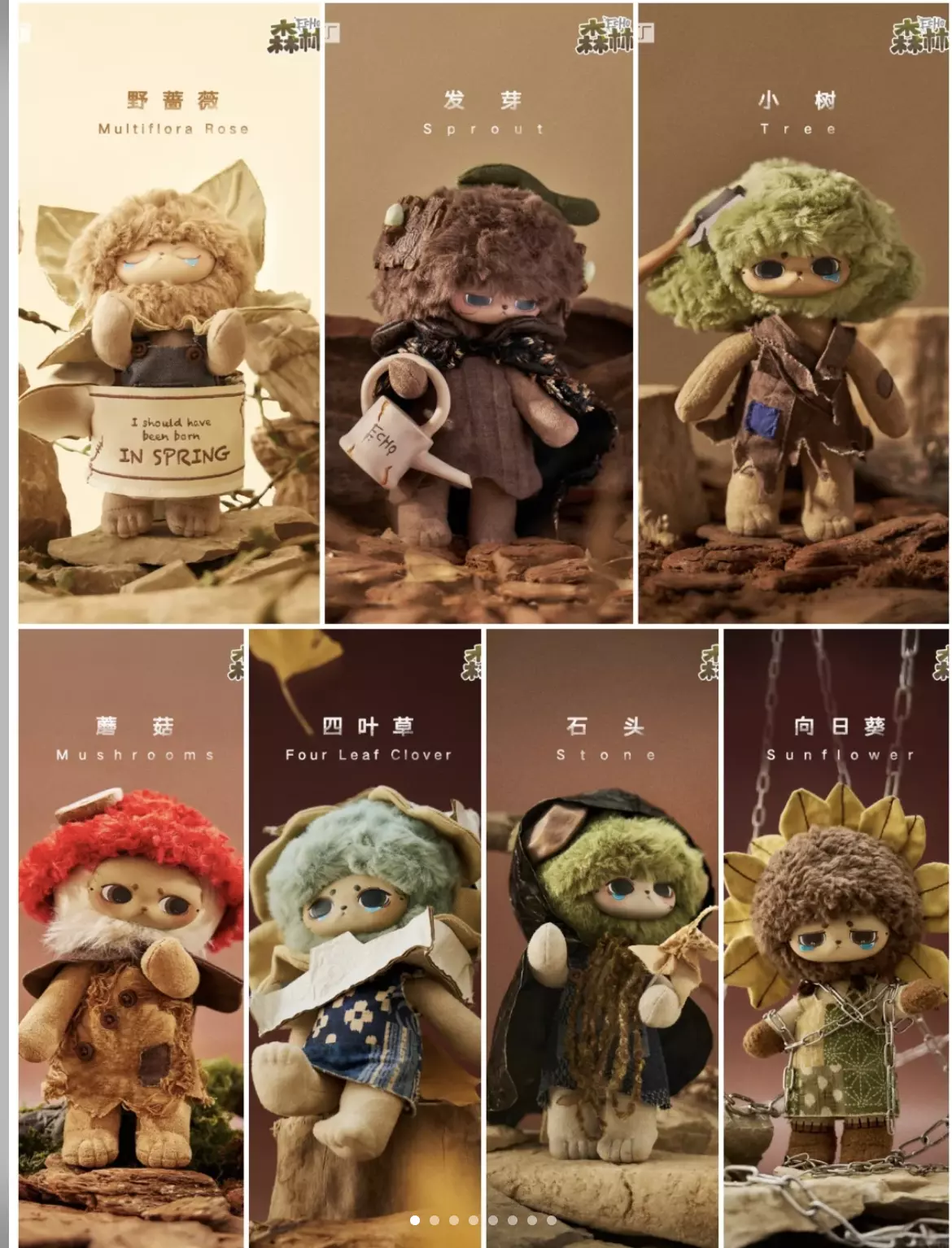 plant/1Box Echo Frost Whisper-0