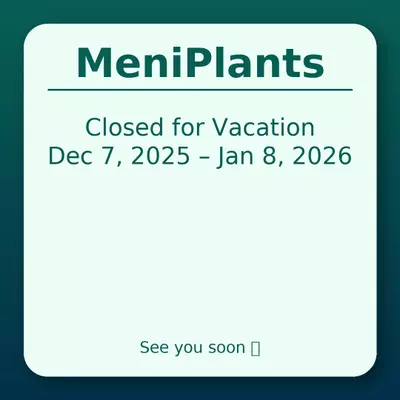 plant/MeniPlants will be closed Dec 7, 2025 – Jan 8, 2026 for Vacation.-0-thumbnail