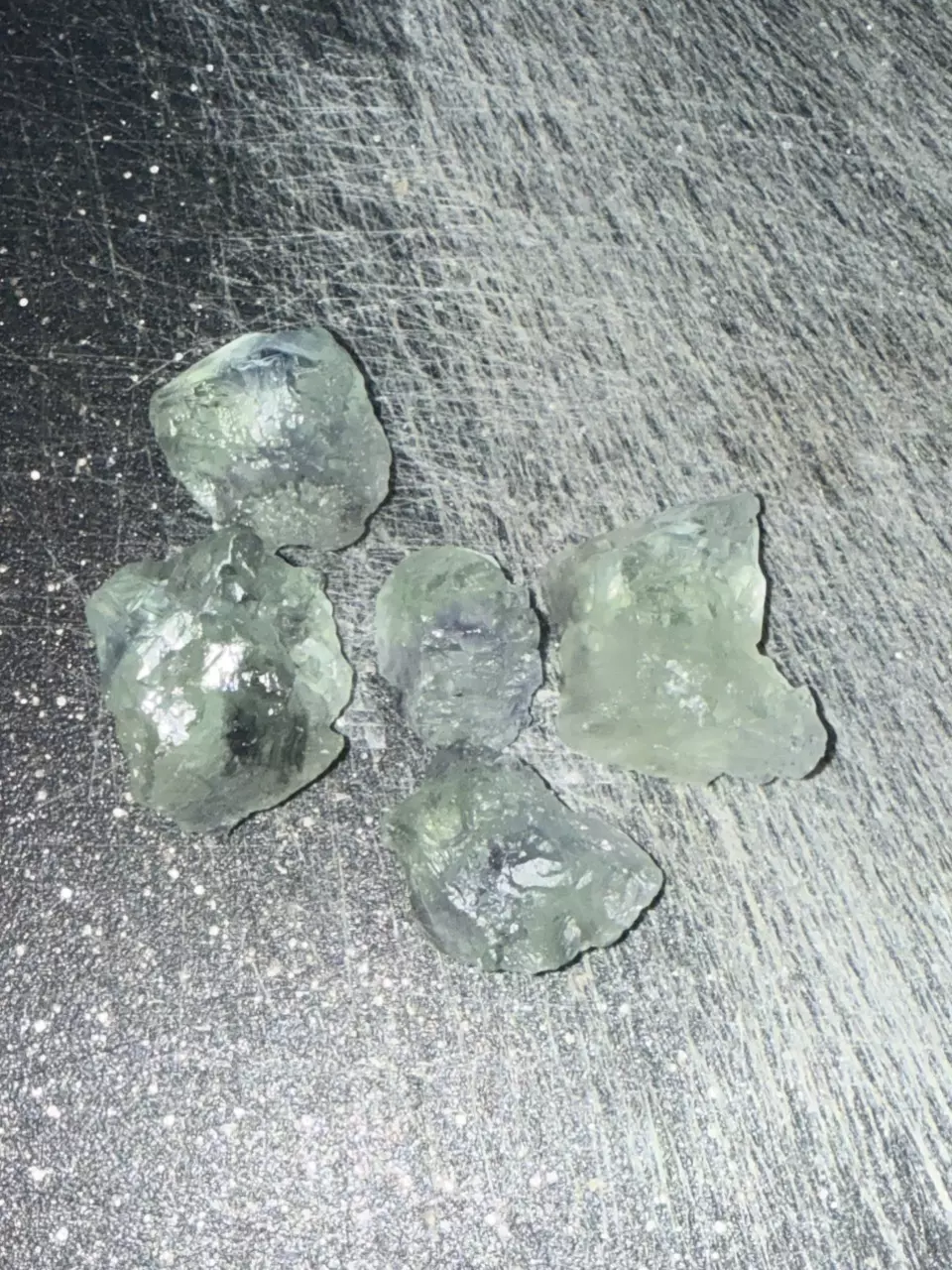 plant/Brooke Lewis-0