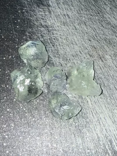 plant/Brooke Lewis-0-thumbnail