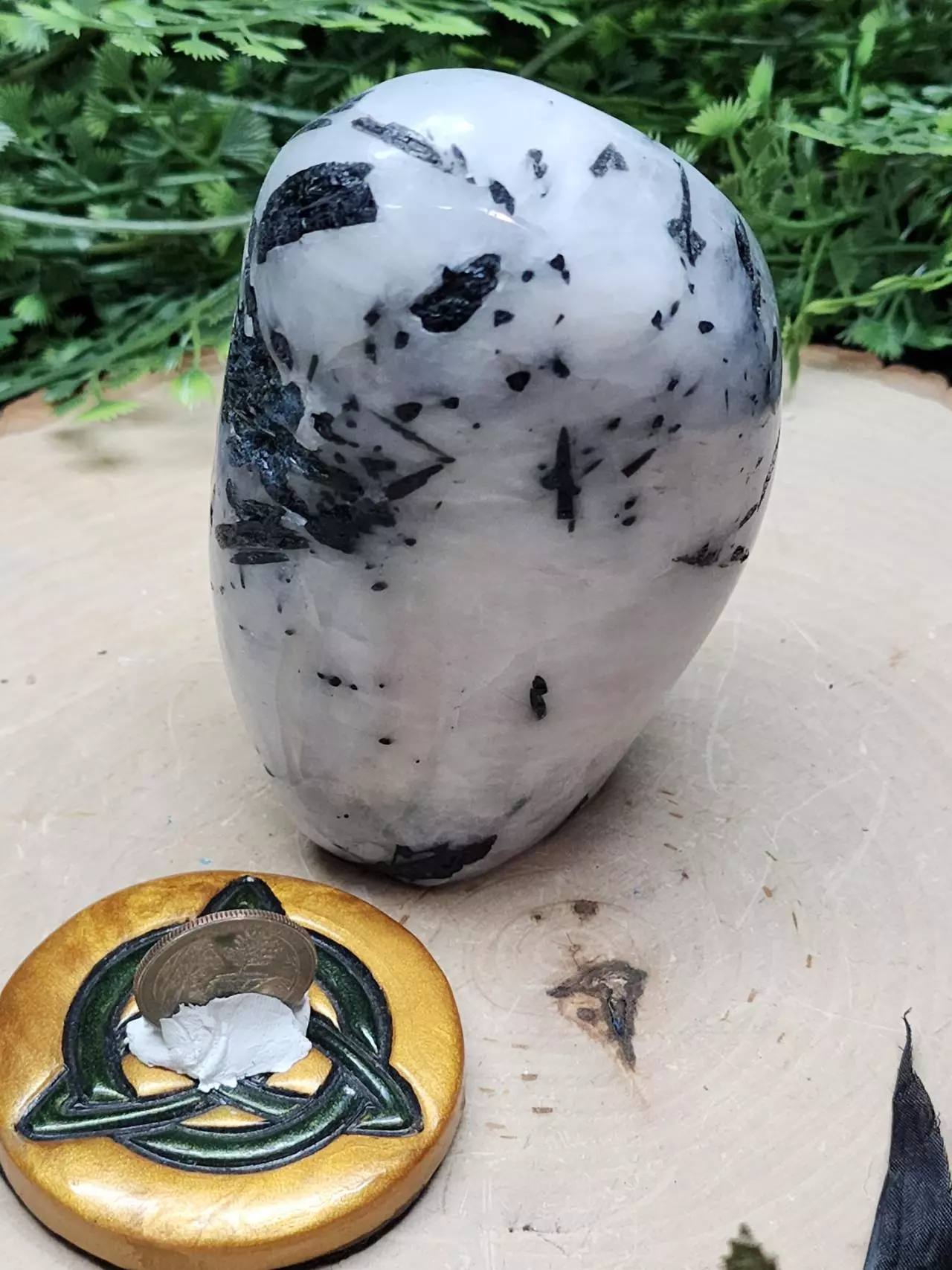 plant/Indicolite Freeform-1