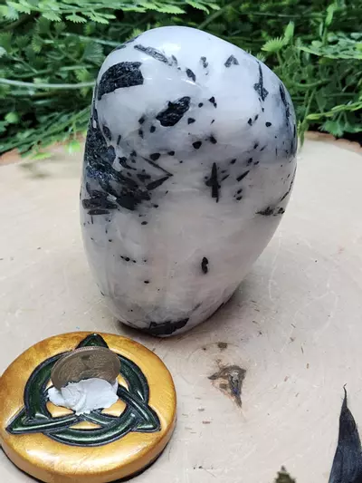 plant/Indicolite Freeform-1-thumbnail