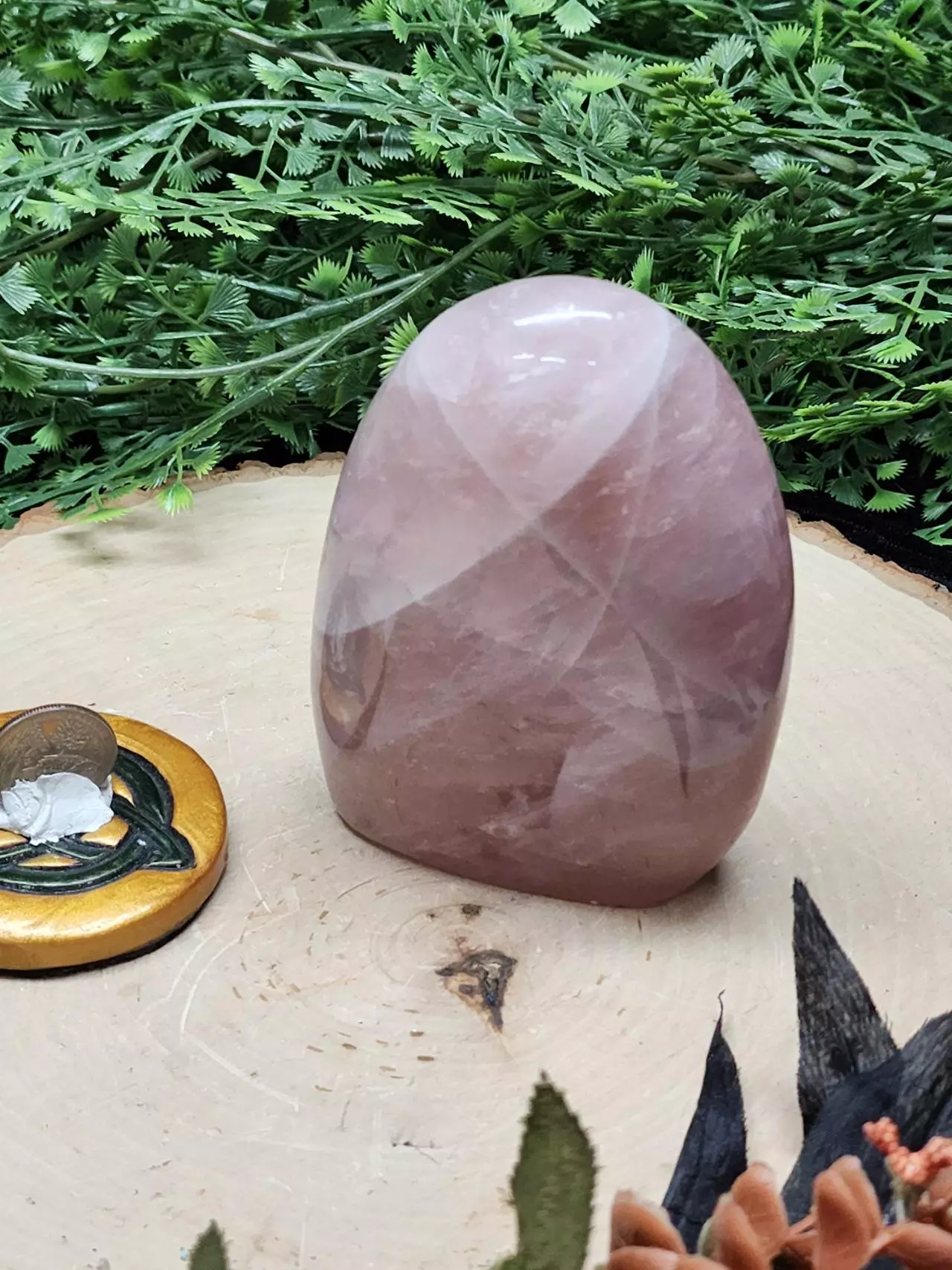 plant/Rose Quartz Freeform-1