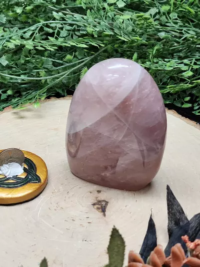 plant/Rose Quartz Freeform-1-thumbnail
