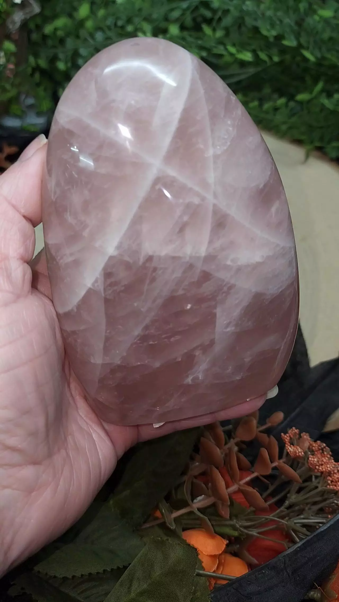 plant/Rose Quartz Freeform-0