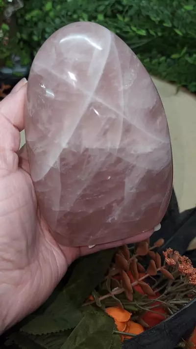 plant/Rose Quartz Freeform-0-thumbnail