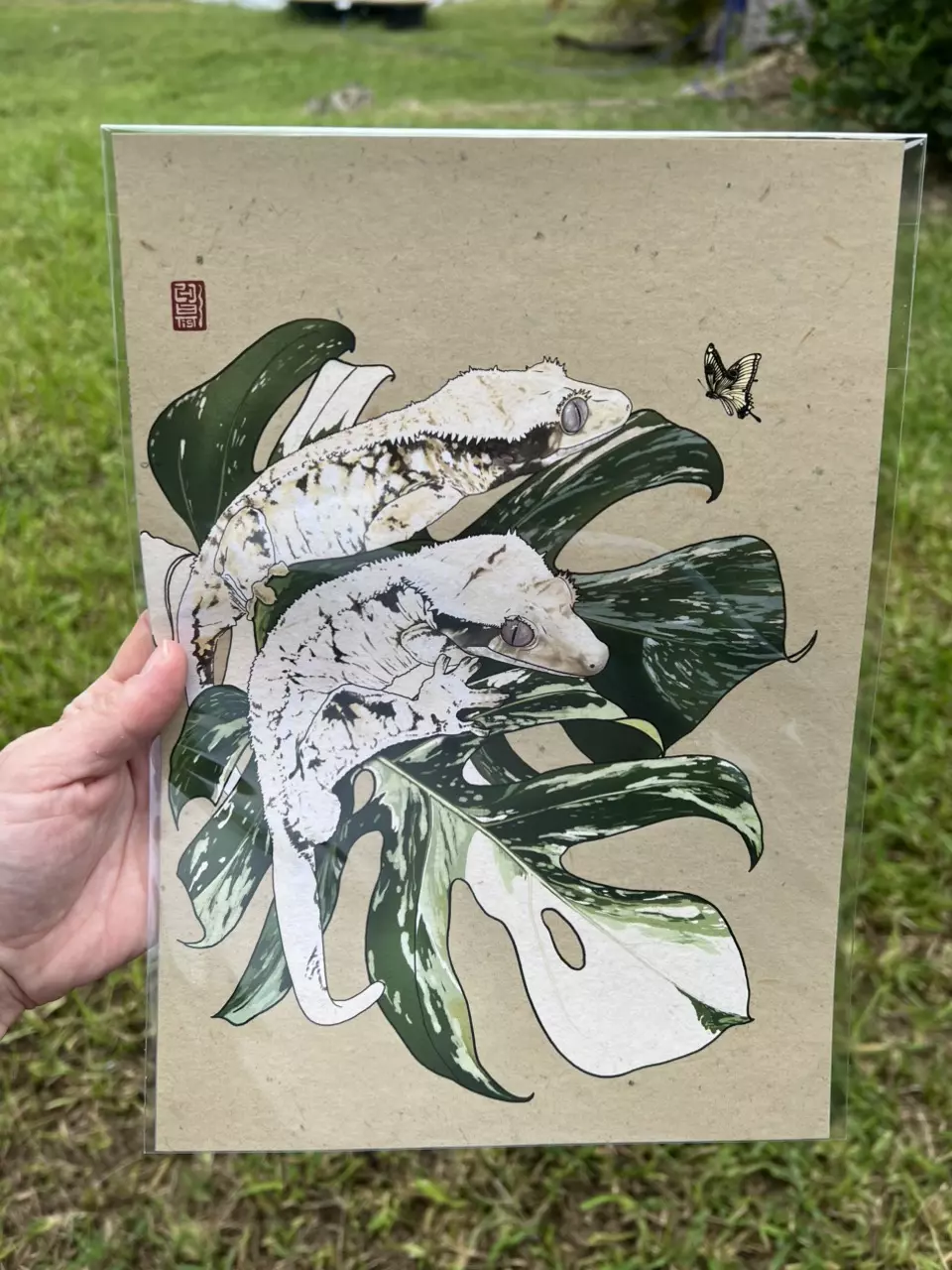 plant/High White Print 15x10-0