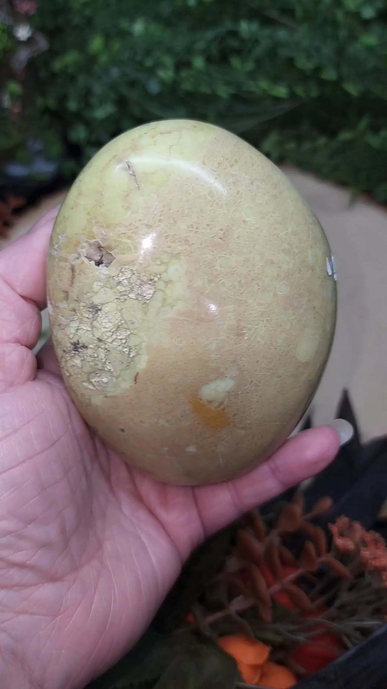 plant/Green Opal Freeform-0