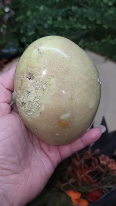 plant/Green Opal Freeform-0-thumbnail