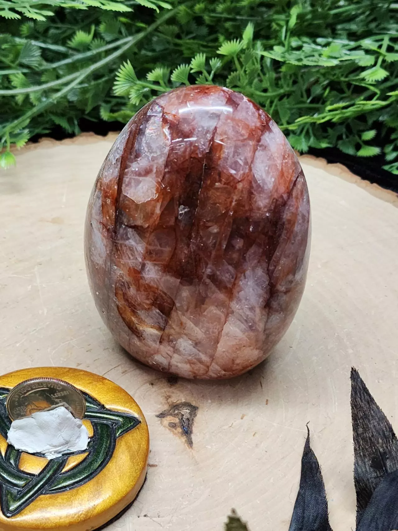 plant/Fire Quartz Freeform-1