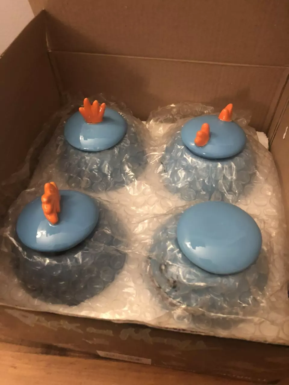 plant/Rick & Morty jars-1