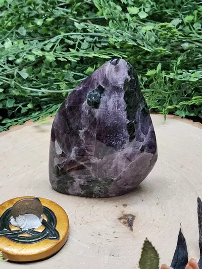plant/Purple Anhydrite Freeform-1-thumbnail