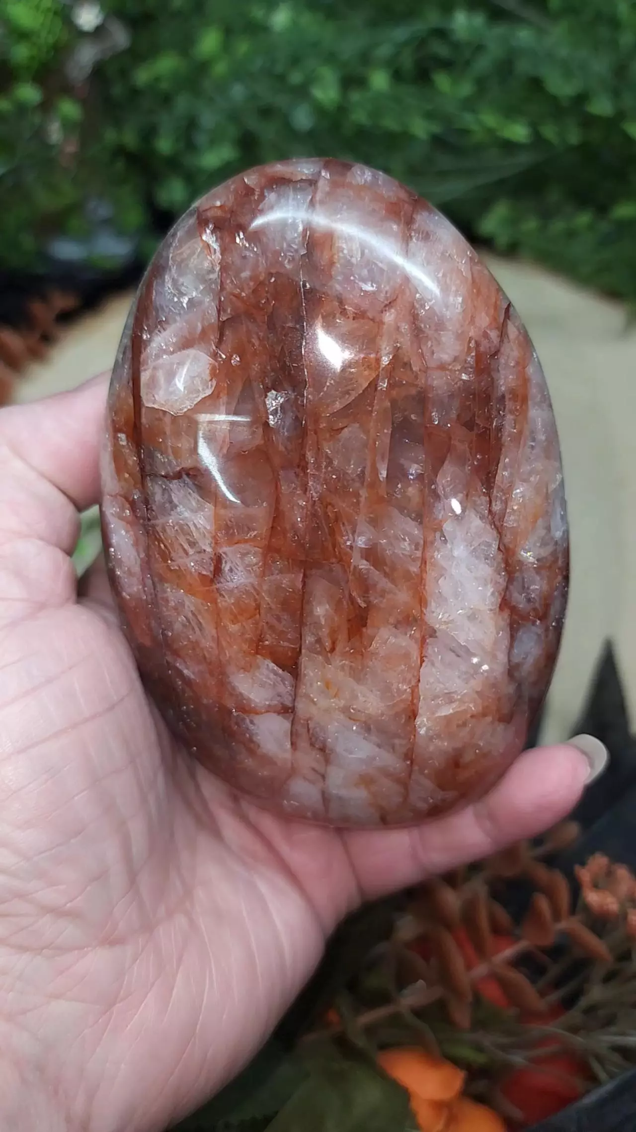 plant/Fire Quartz Freeform-0