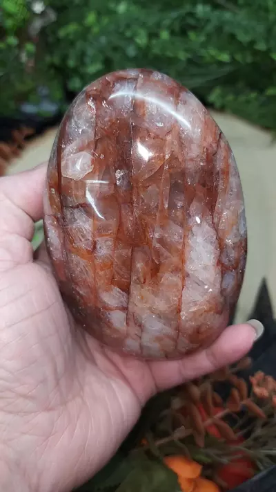 plant/Fire Quartz Freeform-0-thumbnail