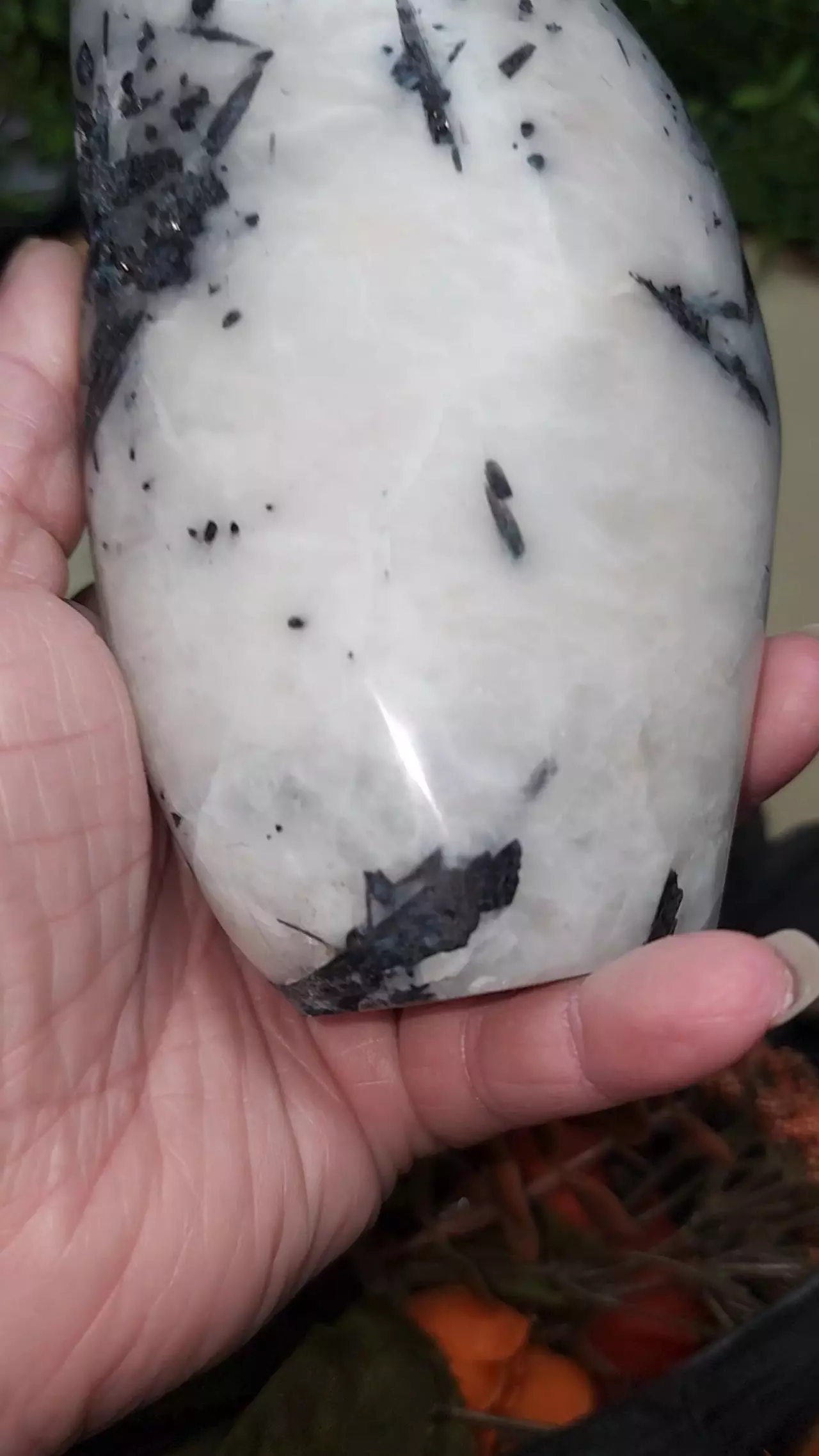 plant/Indicolite Freeform-0