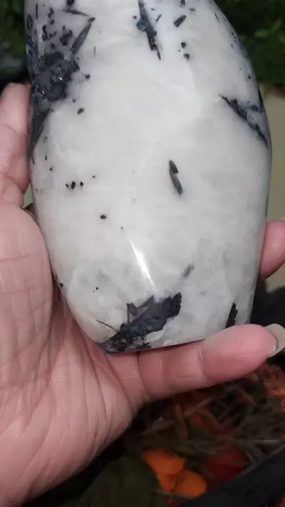 plant/Indicolite Freeform-0-thumbnail