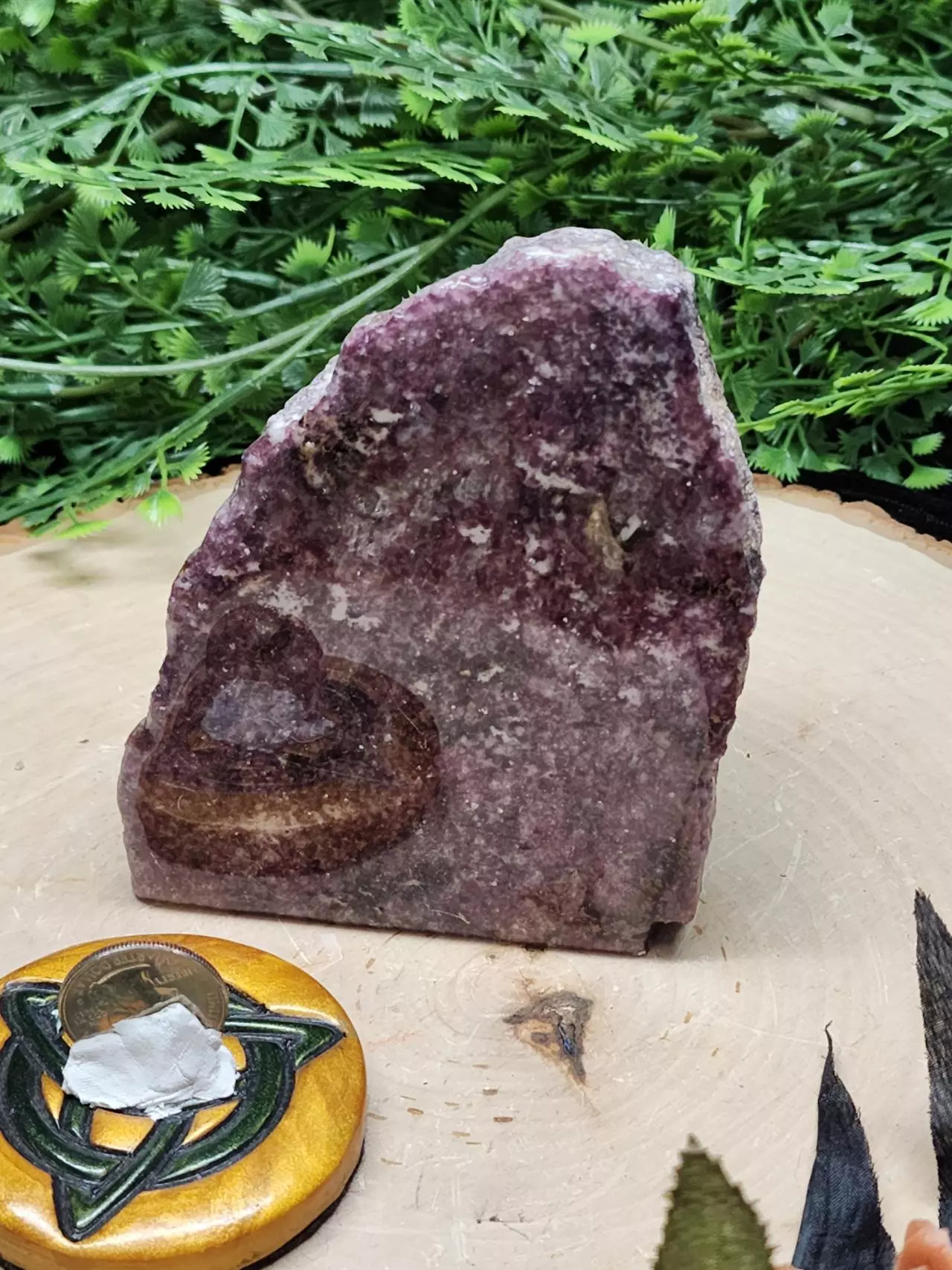 plant/Lepidolite Freeform-1
