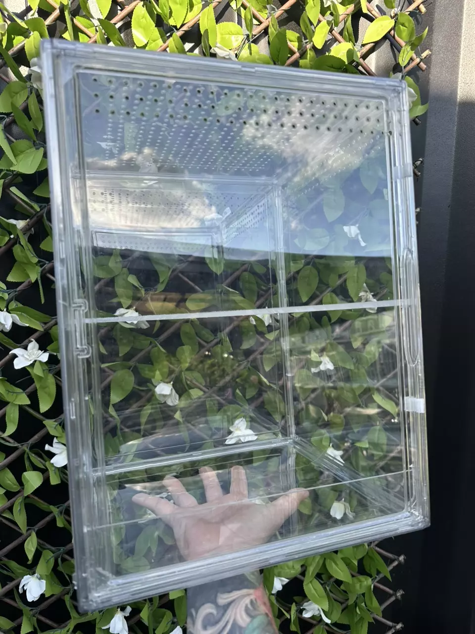 plant/Plant Mini Cabinet! Includes triangle Shelf for added surface space for plants-3