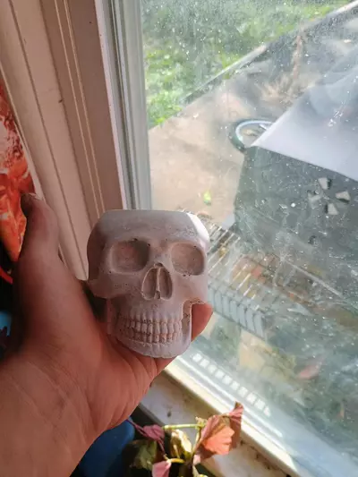 plant/Skull pot-0-thumbnail