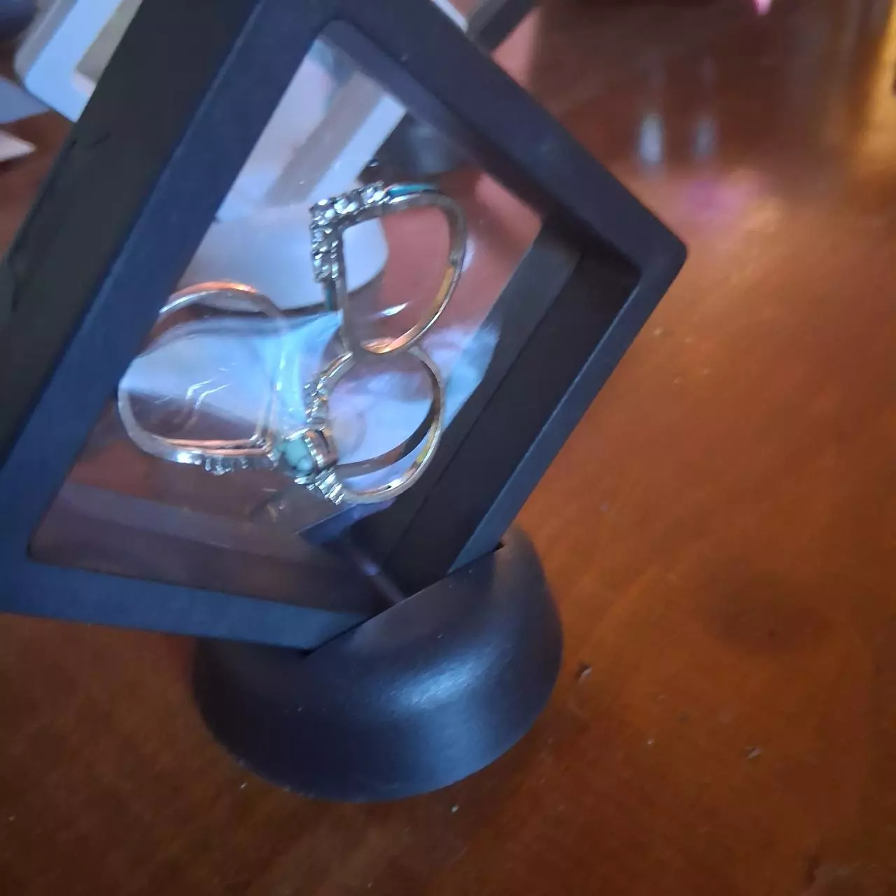 plant/Small Floating Black Frame-4