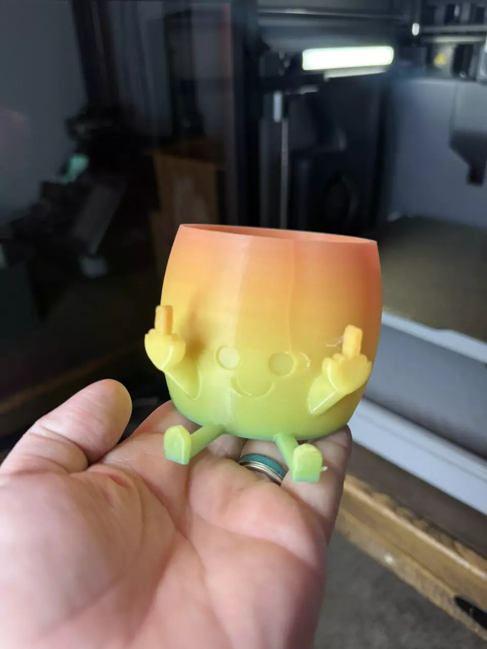 plant/Rainbow Glow 2.5 inch pot-0