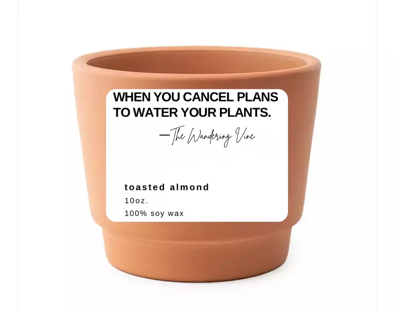 plant/PRE ORDER: The BEST non toxic 100% soywax candles, 2 Fall scents-0