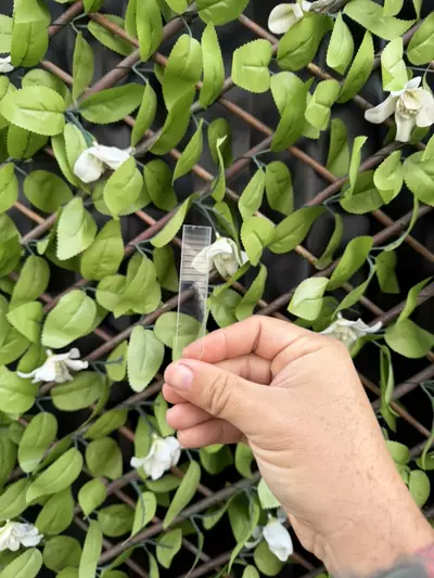 plant/20pack Long acrylic Plant Tag, thin and bendable-2-thumbnail