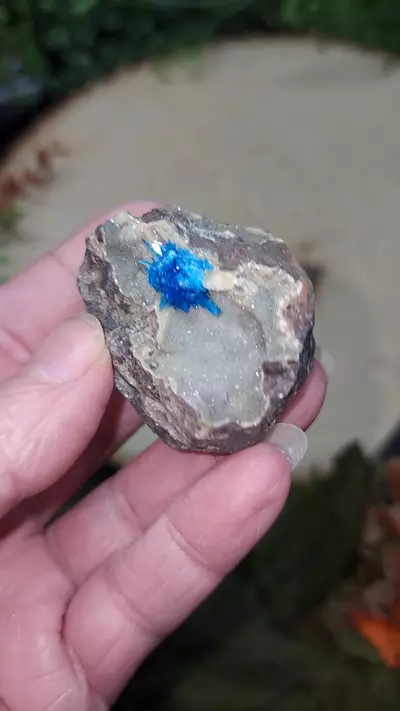 plant/Cavansite-0-thumbnail