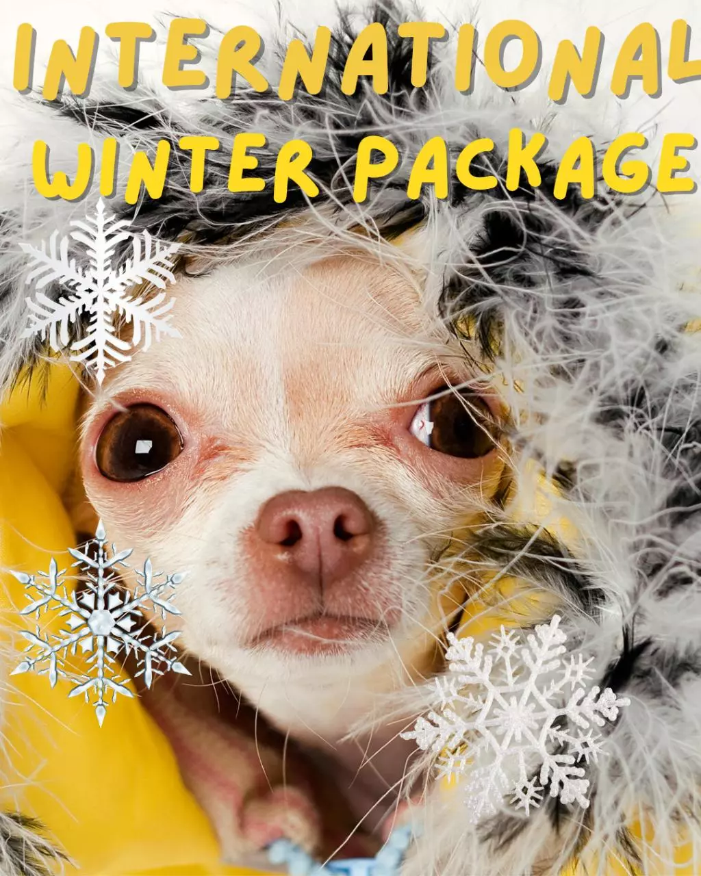 heat_pack/International winter package-0