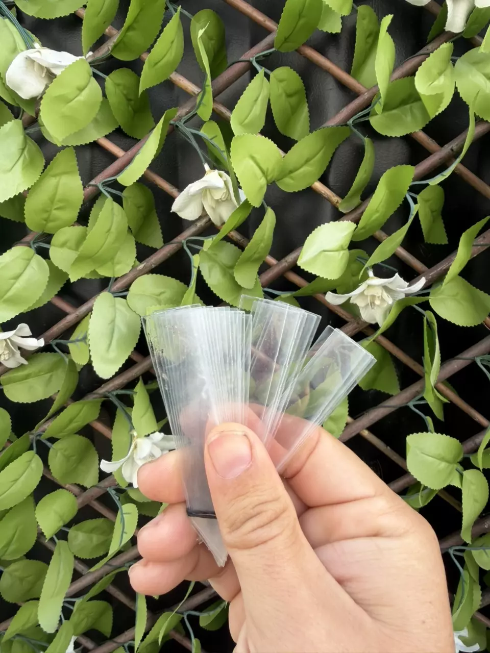 plant/20pack Long acrylic Plant Tag, thin and bendable-4