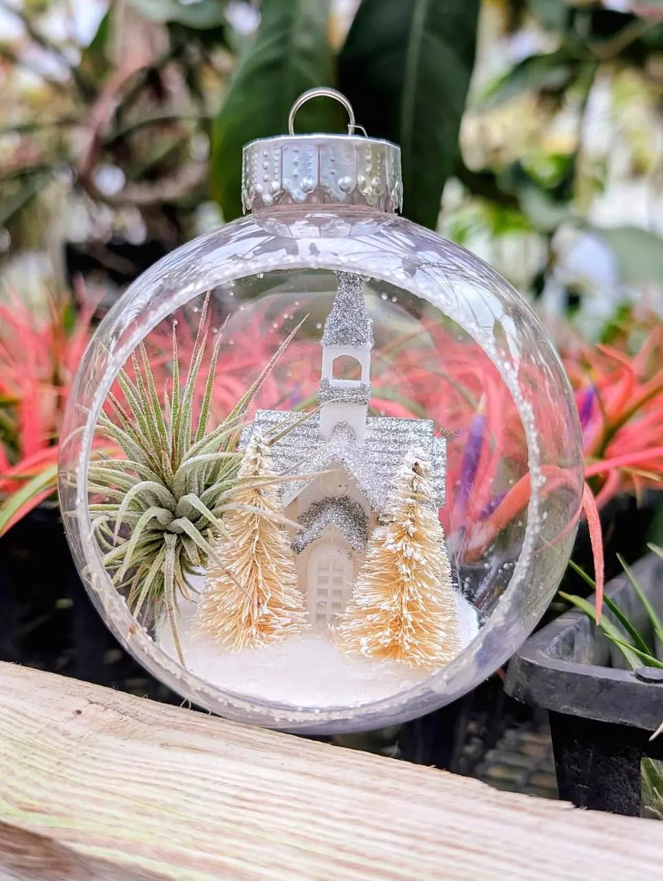 plant/Christmas Gift - Church Snowglobe Ornament with Ionantha Air Plant-0