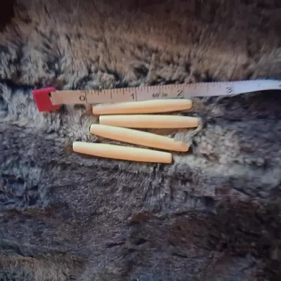 plant/2" Hairpipe 10 pieces-0-thumbnail