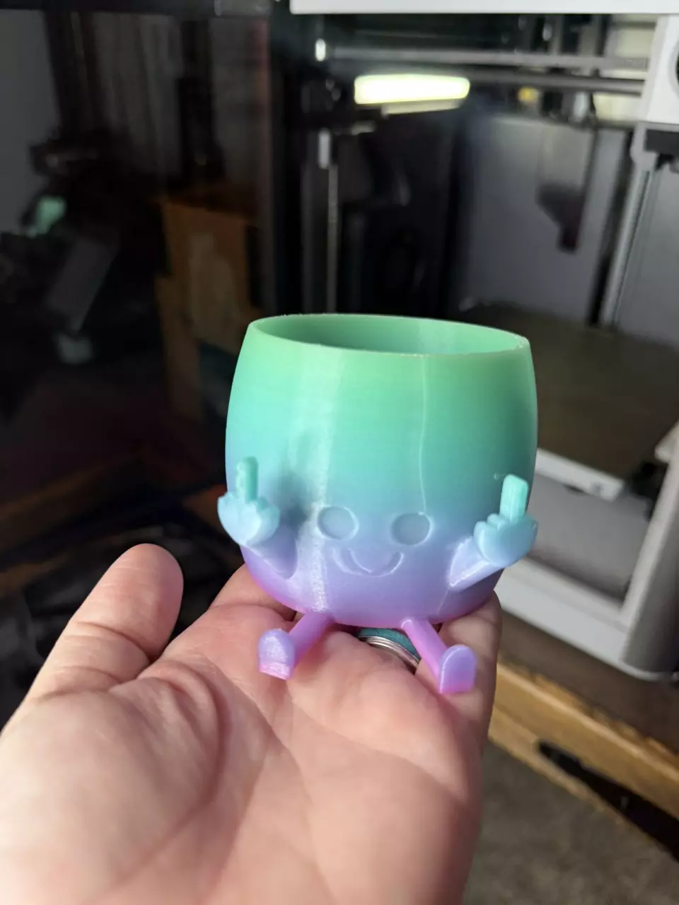 plant/Rainbow Glow 2.5 inch pot-0