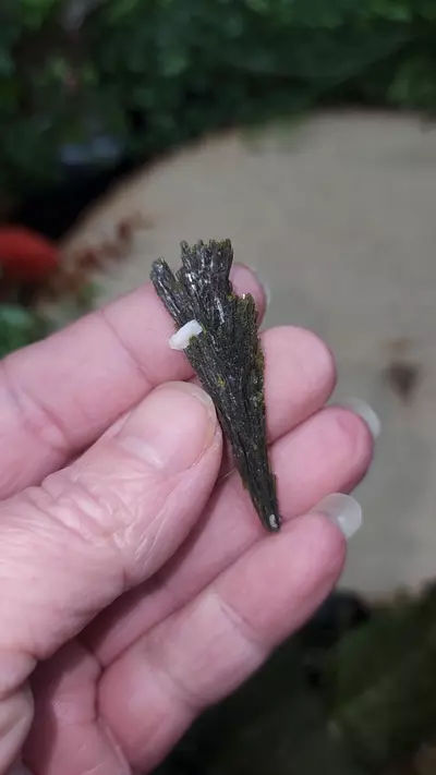 plant/Epidote Fan-0-thumbnail